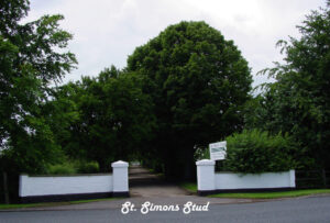 St. Simons Stud